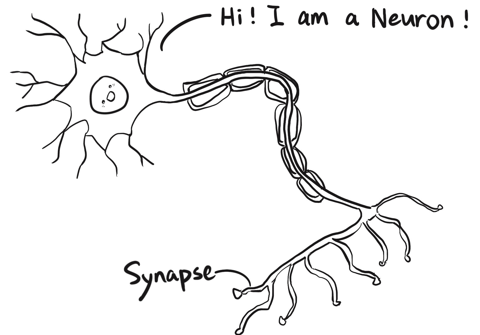 Hand-drawn illustration of a neuron with a cute face in its cell body. The neuron says 'Hi! I am a Neuron!' and has labeled synapse.